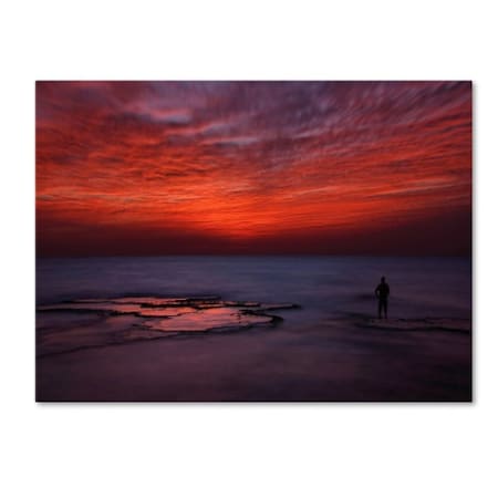 Itay Gal 'Red Sky' Canvas Art,14x19